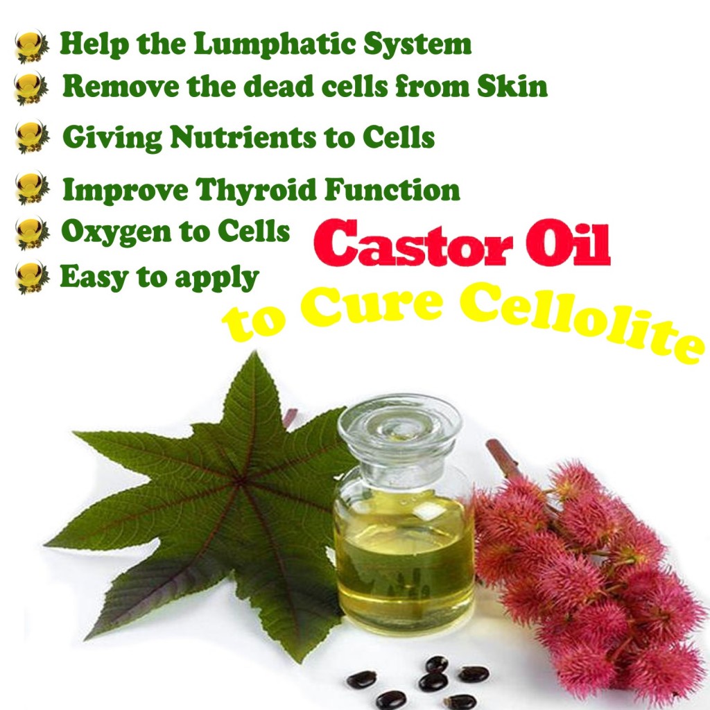 castor bean plant, natural alternative healing therapies Reading Berks PA Henriette Alban Naturopathy castor oil blog